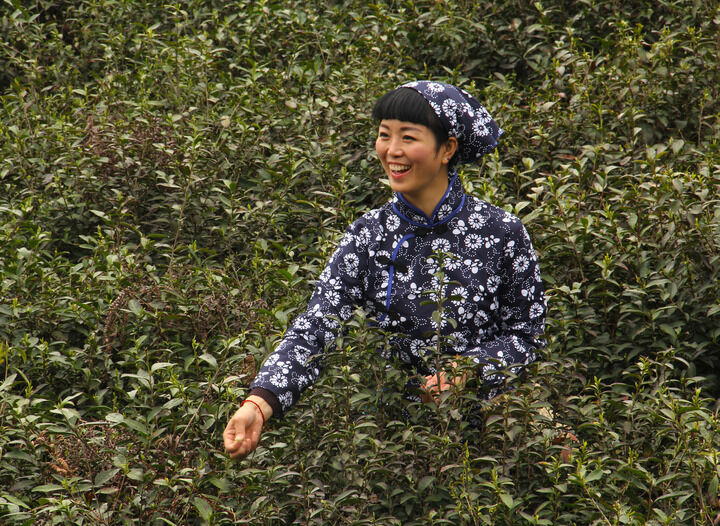 舂梦app banner1